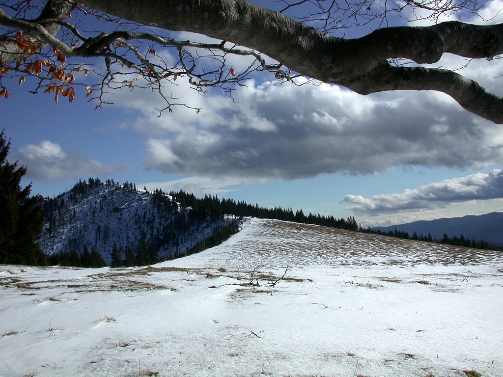 DSCN4597.JPG