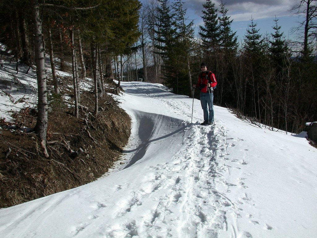 DSCN4601.JPG