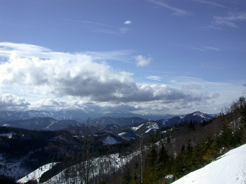 DSCN4605.JPG