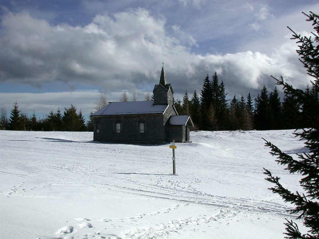 DSCN4606.JPG