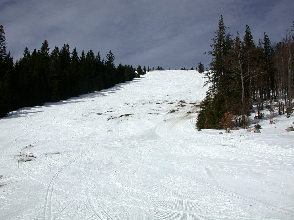 DSCN4612.JPG