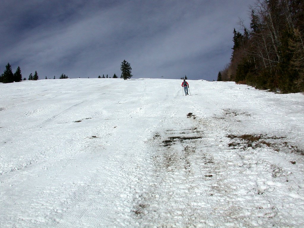 DSCN4613.JPG