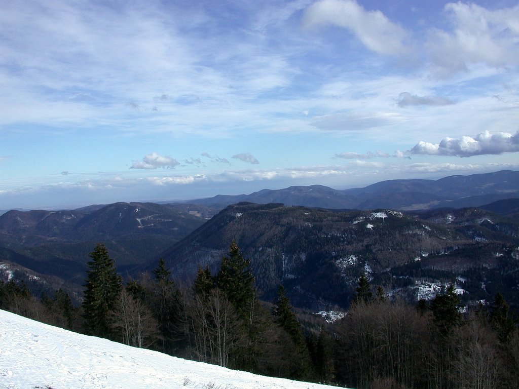 DSCN4617.JPG