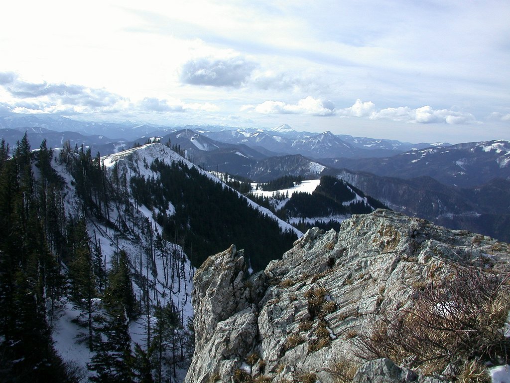 DSCN4620.JPG