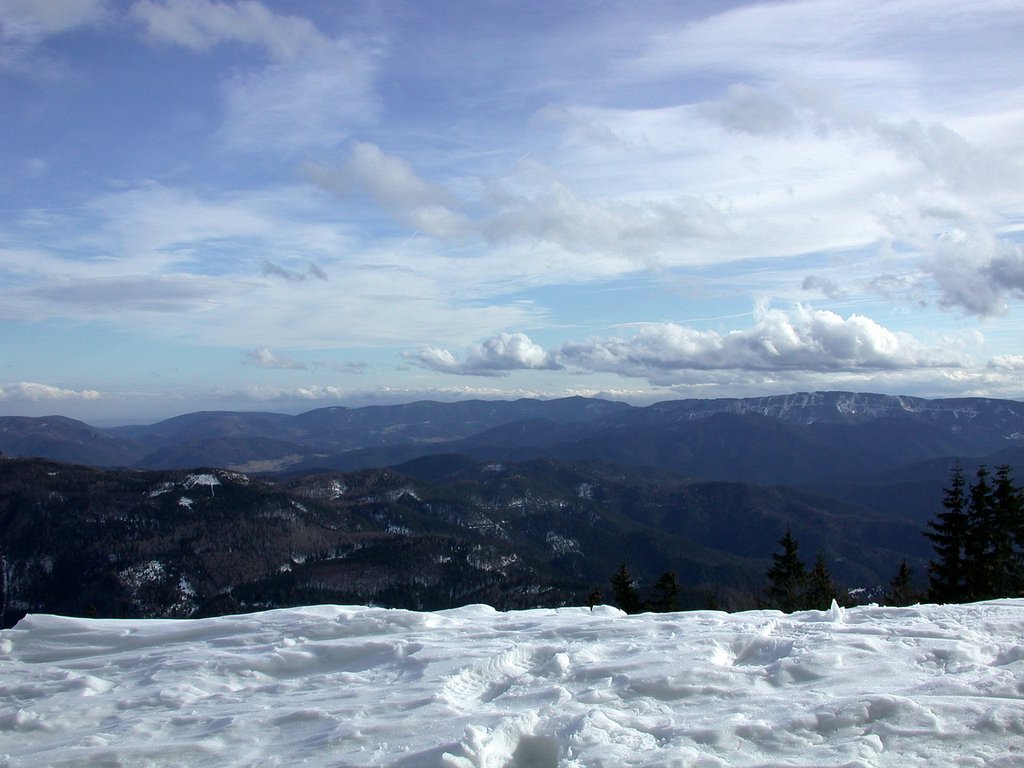 DSCN4627.JPG