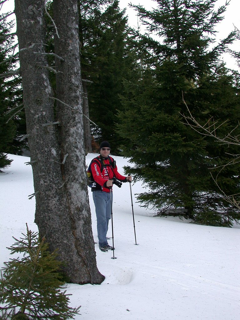 DSCN4631.JPG