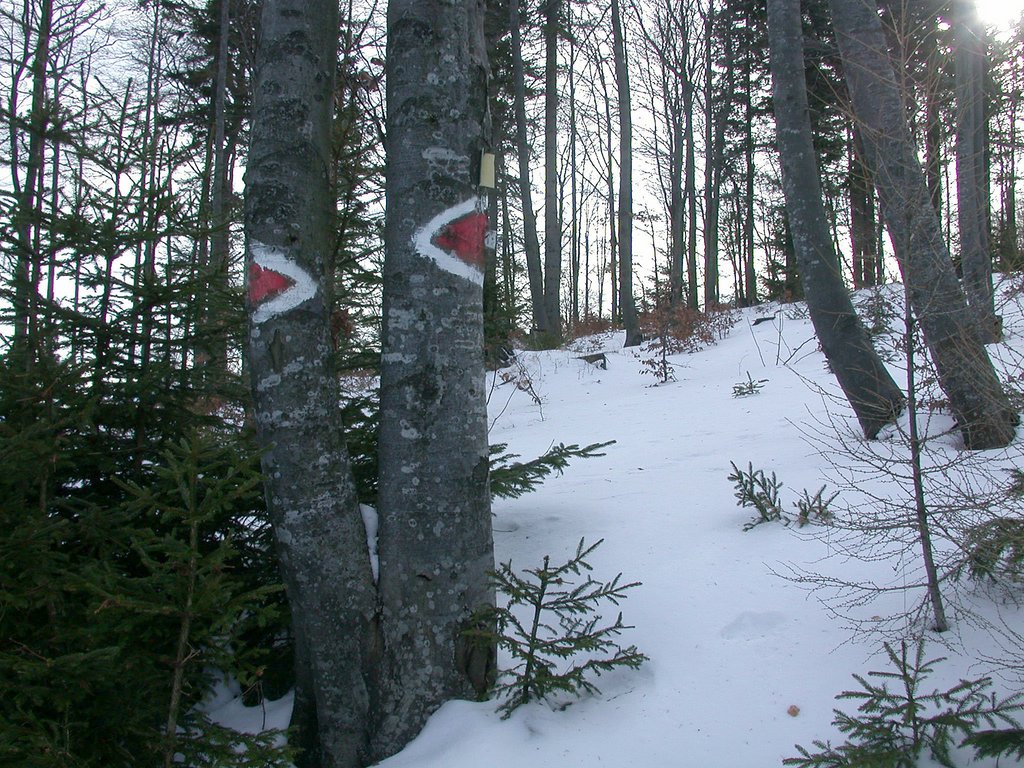 DSCN4634.JPG