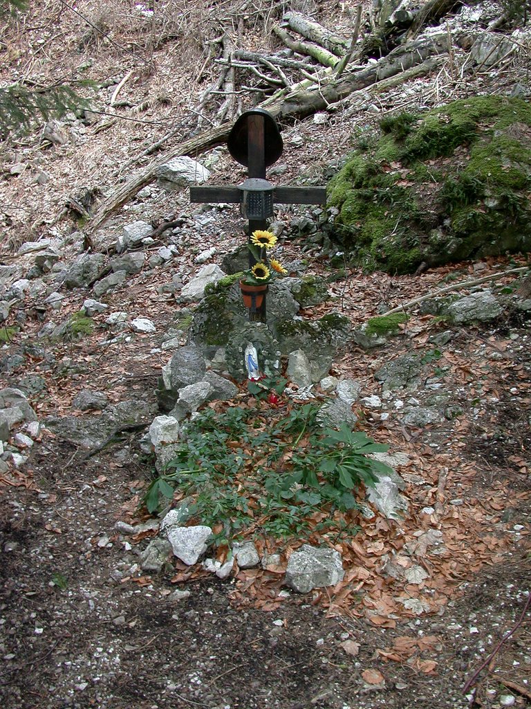 DSCN4646.JPG