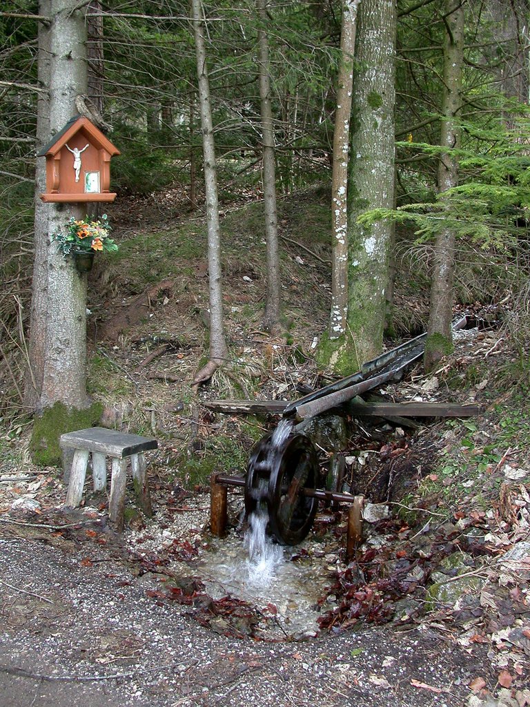 DSCN4648.JPG