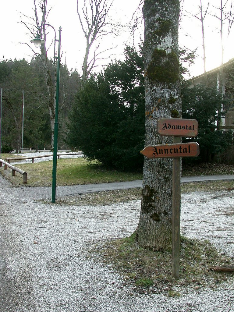 DSCN4649.JPG