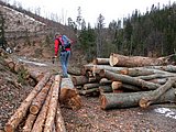DSCN4556.JPG