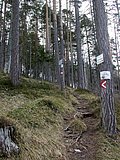DSCN4560.JPG