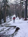 DSCN4568.JPG