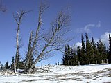 DSCN4586.JPG