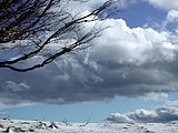 DSCN4591.JPG