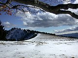DSCN4597.JPG