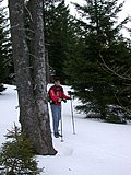 DSCN4631.JPG