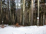 DSCN4639.JPG