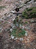 DSCN4646.JPG