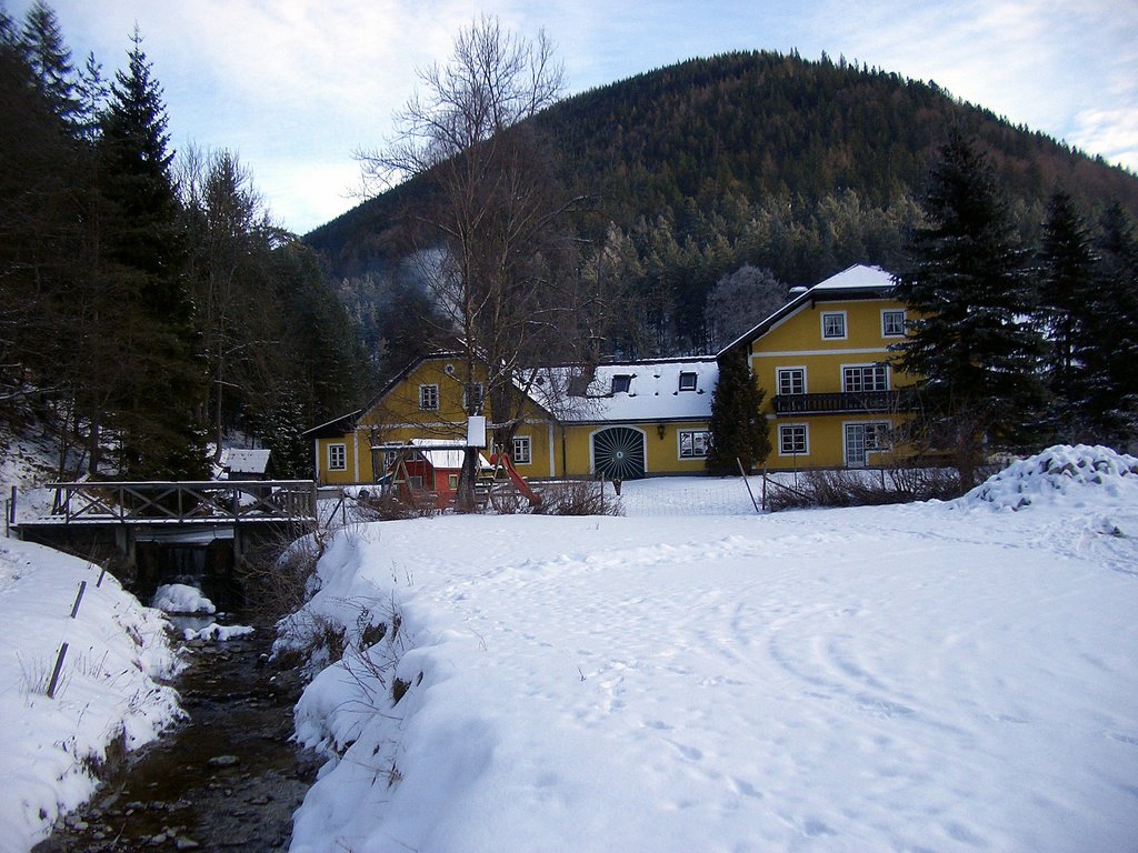 CIMG3648.JPG