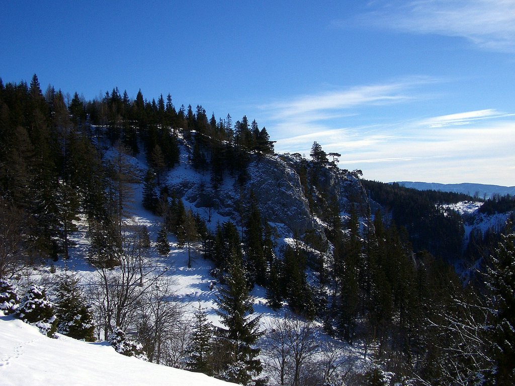 CIMG3658.JPG