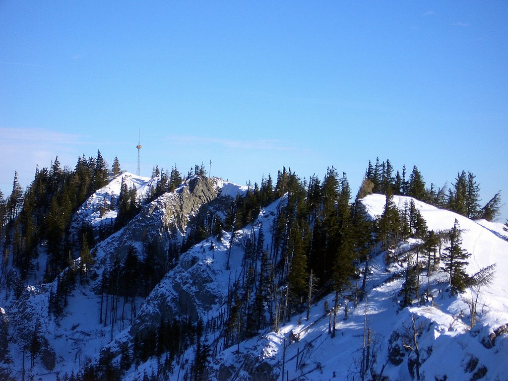 CIMG3687.JPG