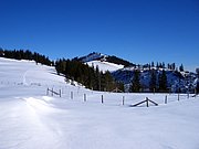 CIMG3664.JPG