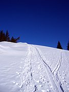 CIMG3682.JPG