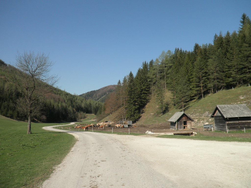 P4300001.JPG