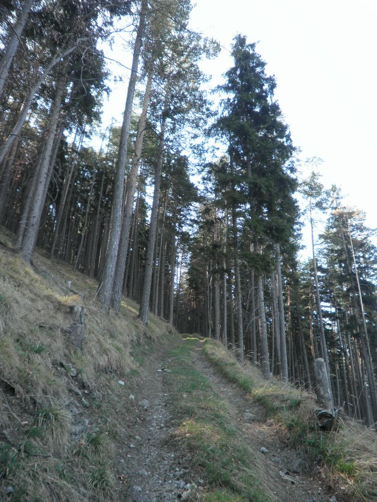 P4300004.JPG