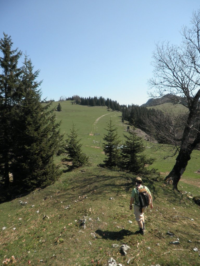 P4300010.JPG