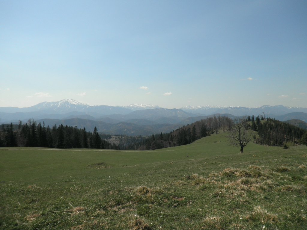 P4300013.JPG