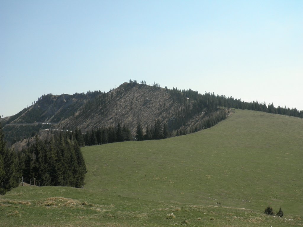 P4300017.JPG