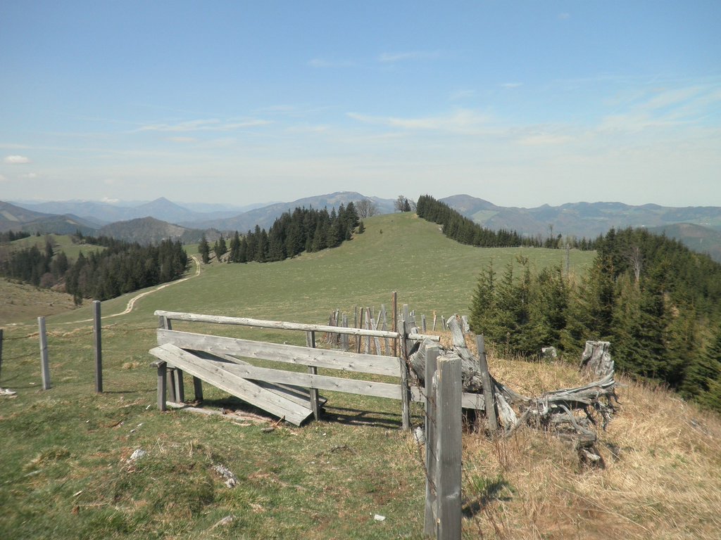 P4300019.JPG