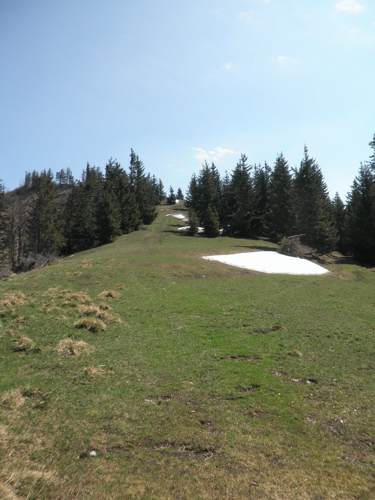 P4300021.JPG