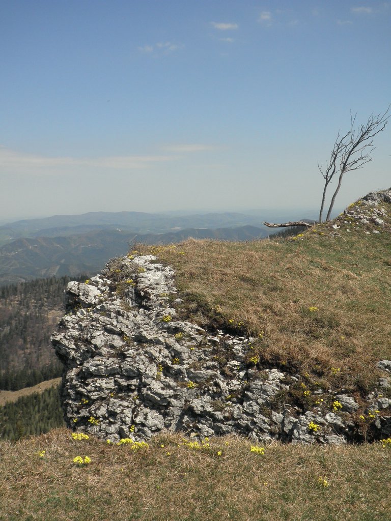 P4300027.JPG