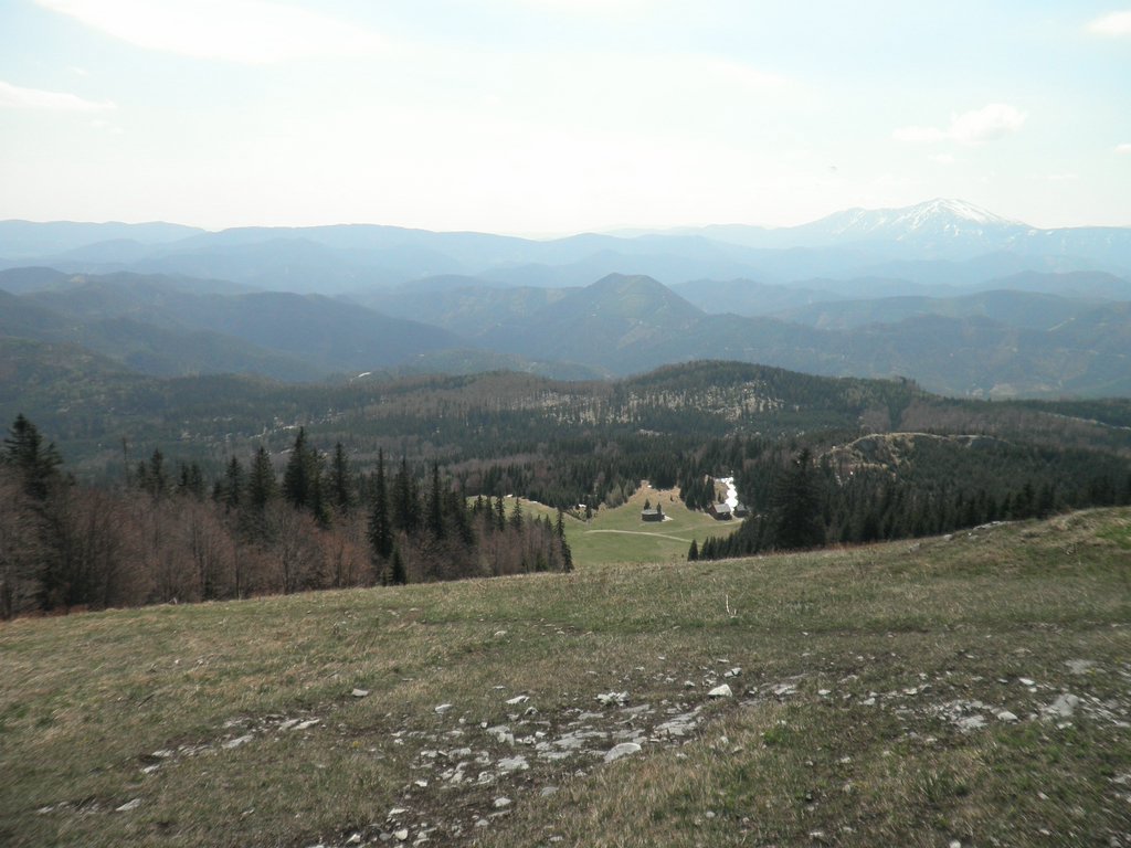 P4300031.JPG