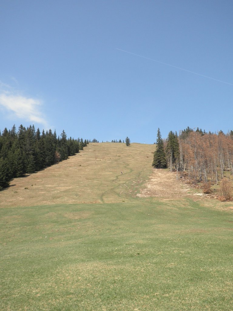 P4300035.JPG