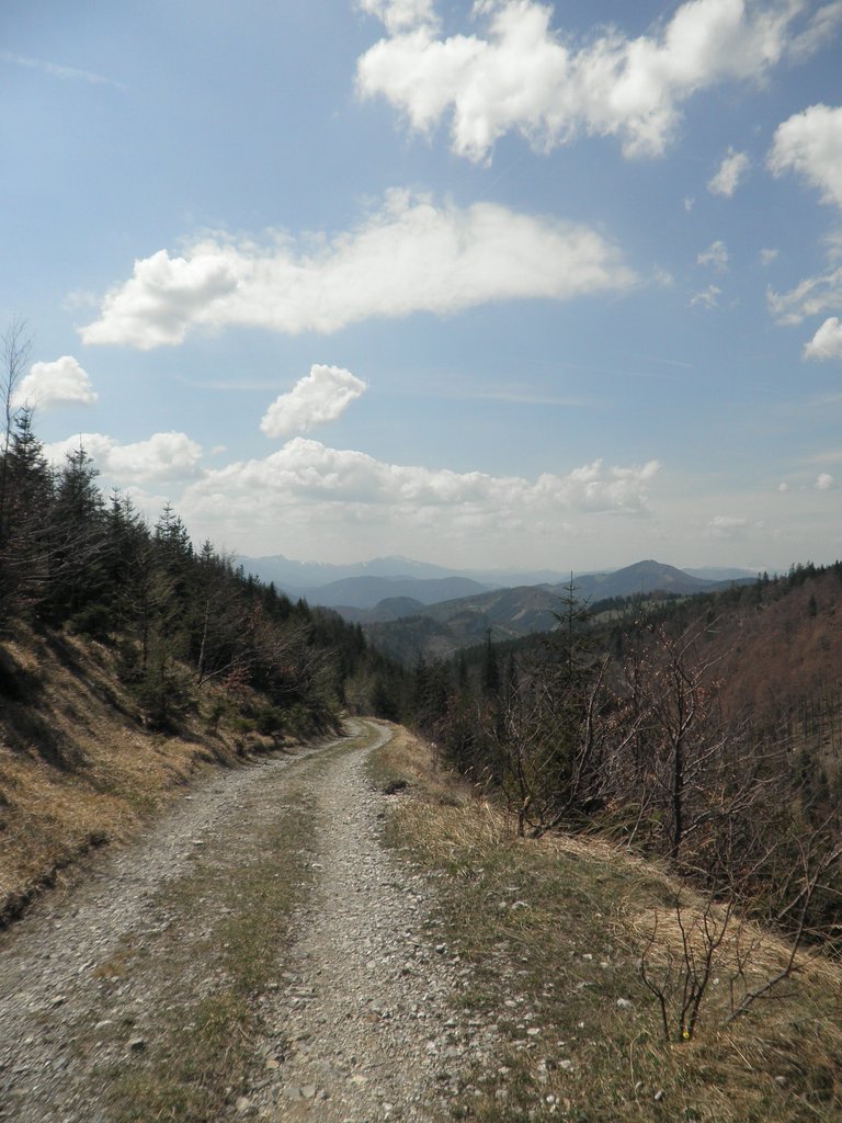 P4300037.JPG
