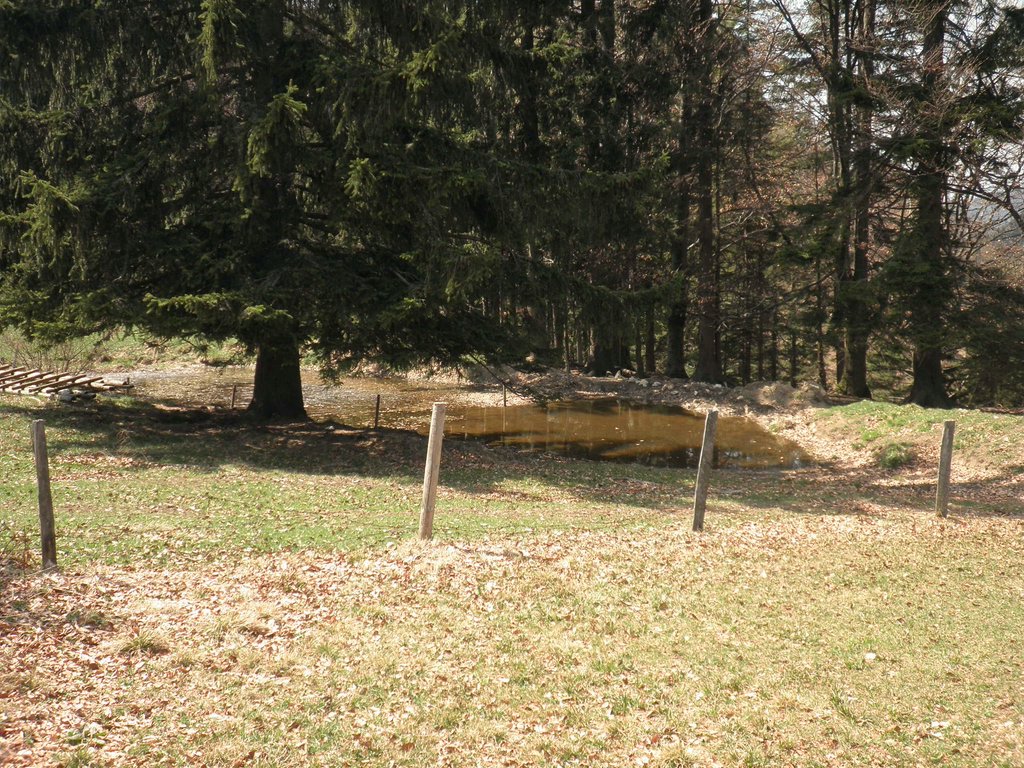 P4300039.JPG