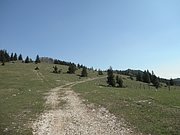 P4300009.JPG