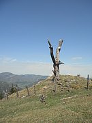 P4300012.JPG