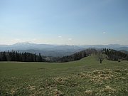 P4300013.JPG