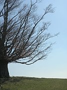 P4300016.JPG