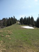 P4300021.JPG