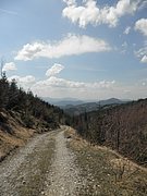 P4300037.JPG