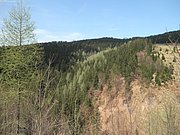 P4300041.JPG
