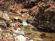 P4300045.JPG