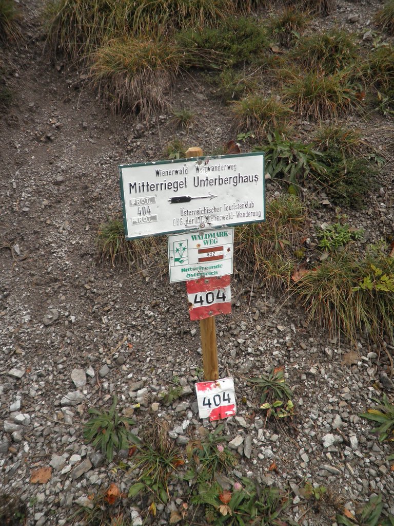 PA020006.JPG