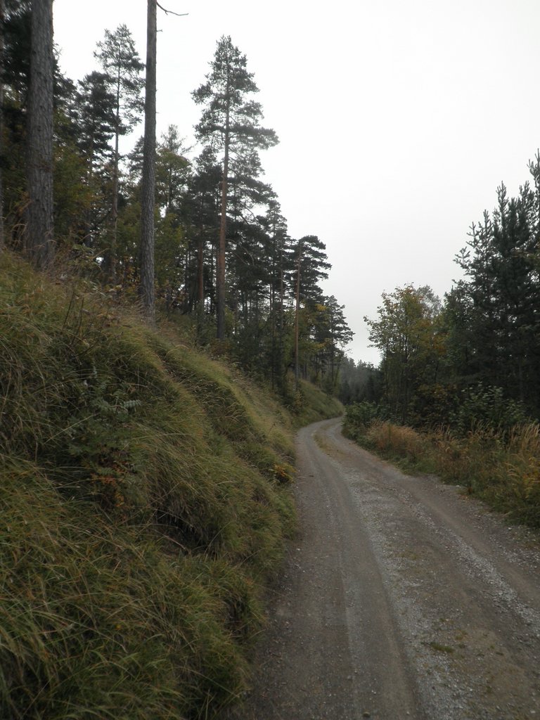 PA020008.JPG